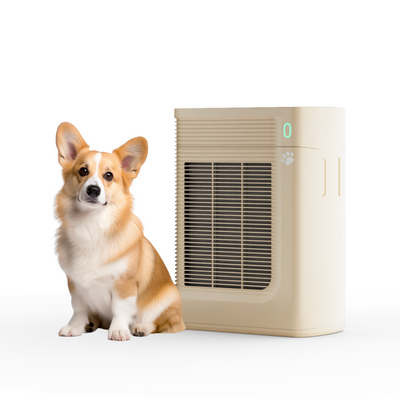 Purificateurs d'air de poils pour animaux pour la maison grande pièce H13 True Nettoyer de purificateur d'air de filtre HEPA avec entrée d'air à 360 °, parfum, purificateur d'air 13db pour la chambre à coucher Wildfir Fume Smok