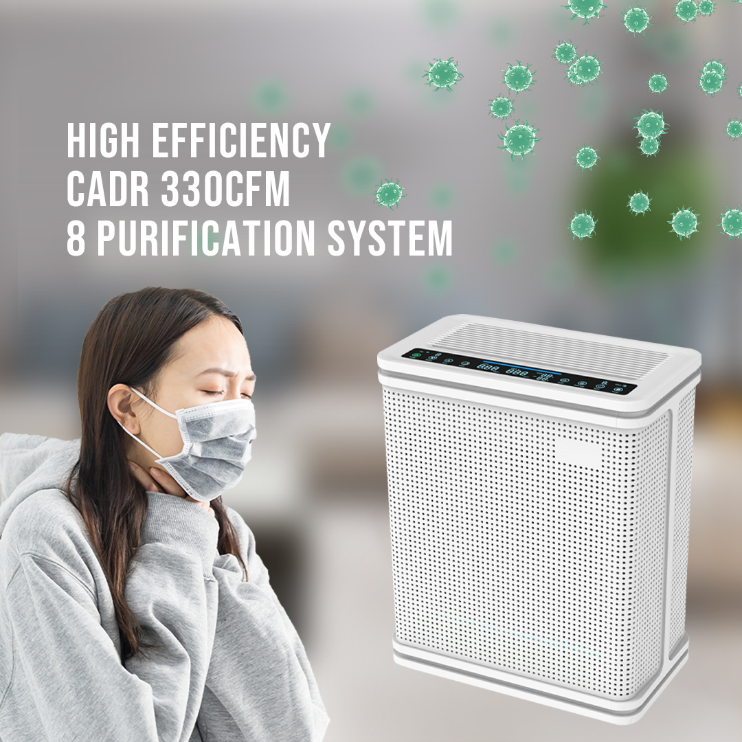 Grand distributeur commercial de purificateur d'air de filtre HEPA