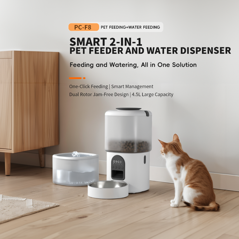 2 po wifi caméra Smart Automatic Cat Faisier chronométrés pour les chats et les chiens Dispensateur de nourriture sèche en acier en acier inoxydable