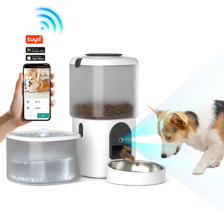 Tuya vidéo wifi application Control Cat Cat Dispentier Smart Remote Remote connecté 4L Bol d'alimentation alimentaire automatique avec appareil photo avec appareil photo